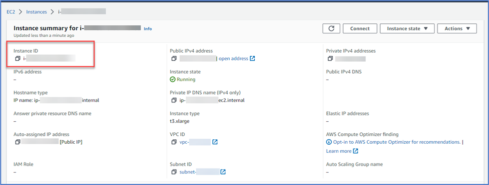 Instances summary image