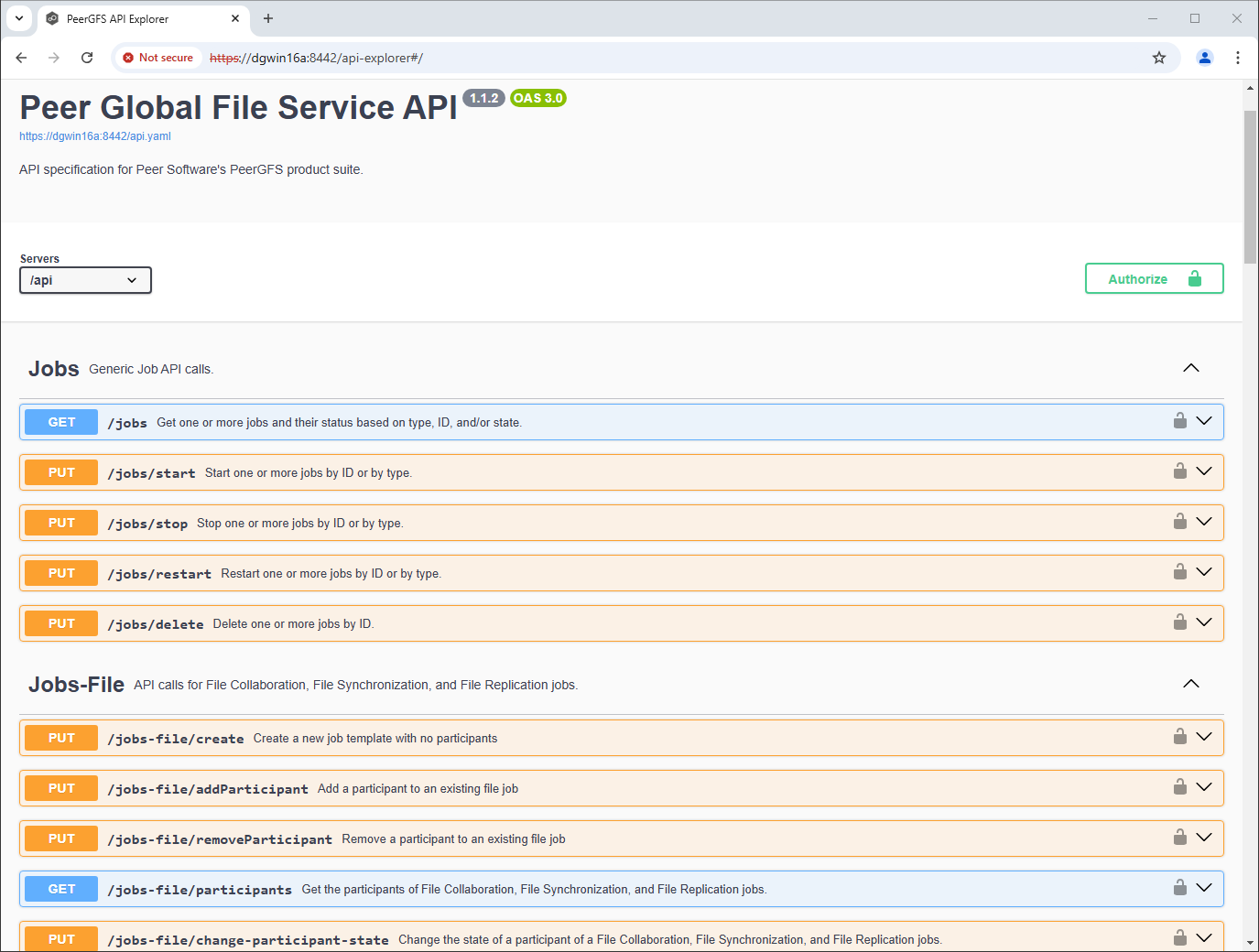 PeerGFS Swagger UI.png